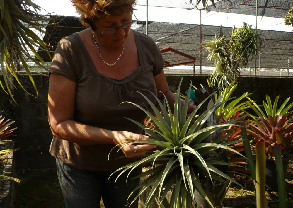 Cheryl & Tillandsia.jpg