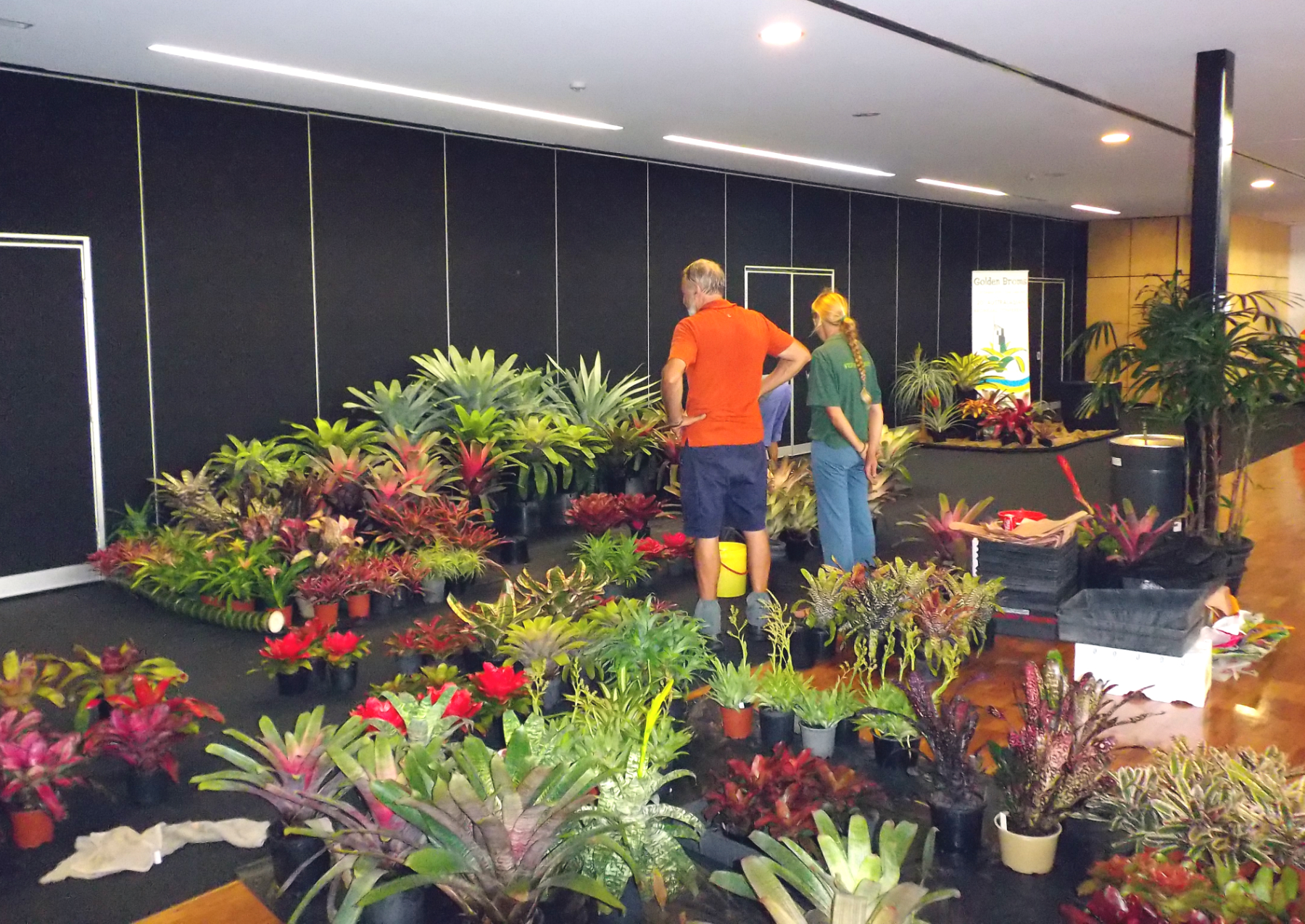 Ema reviewing the set up for conference