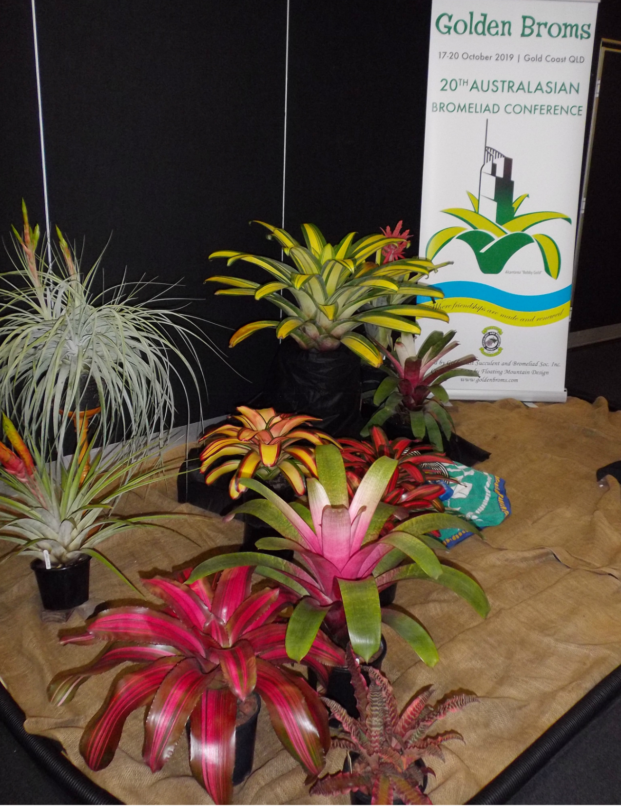 Golden Broms Conference