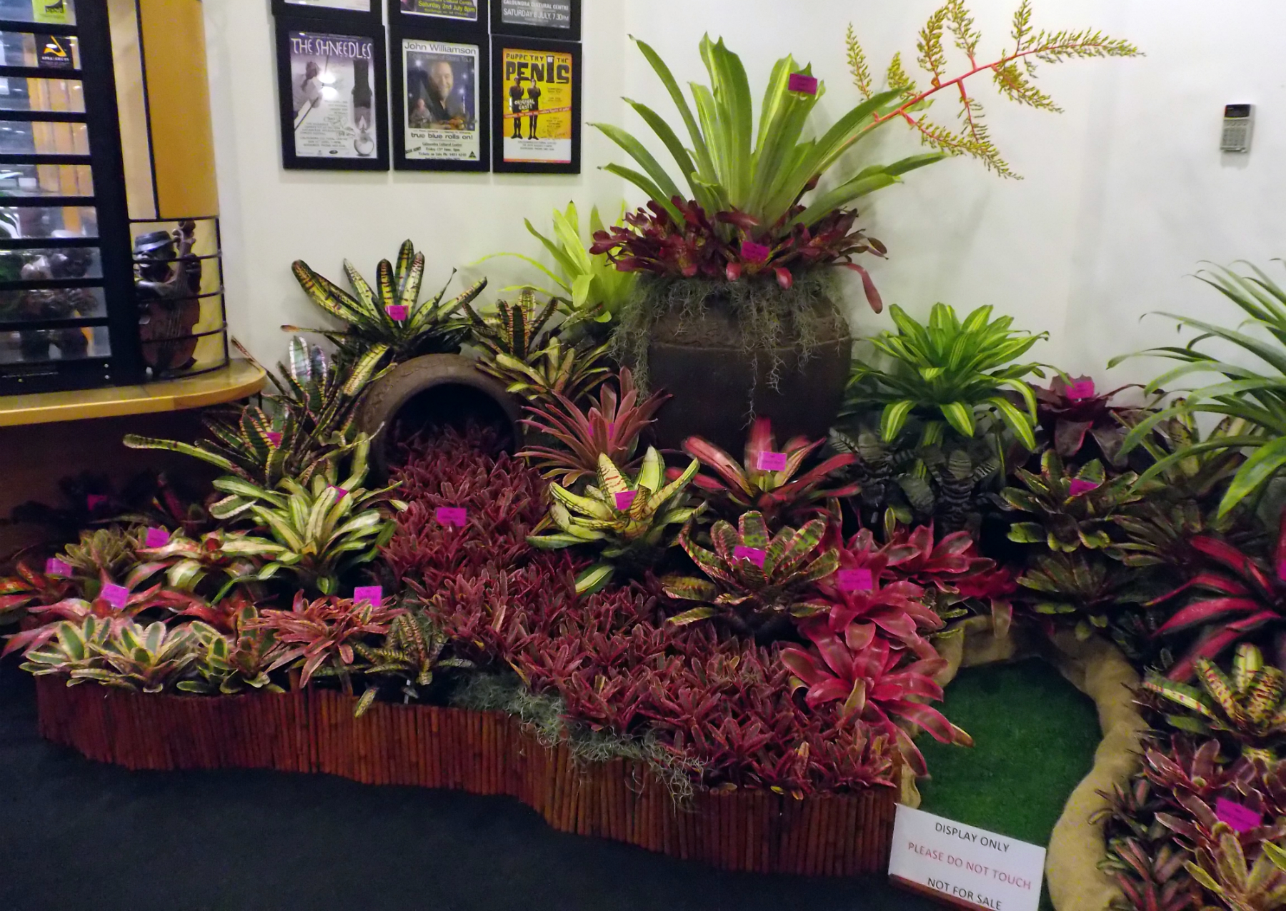 Sunny Broms Conference Corner Display