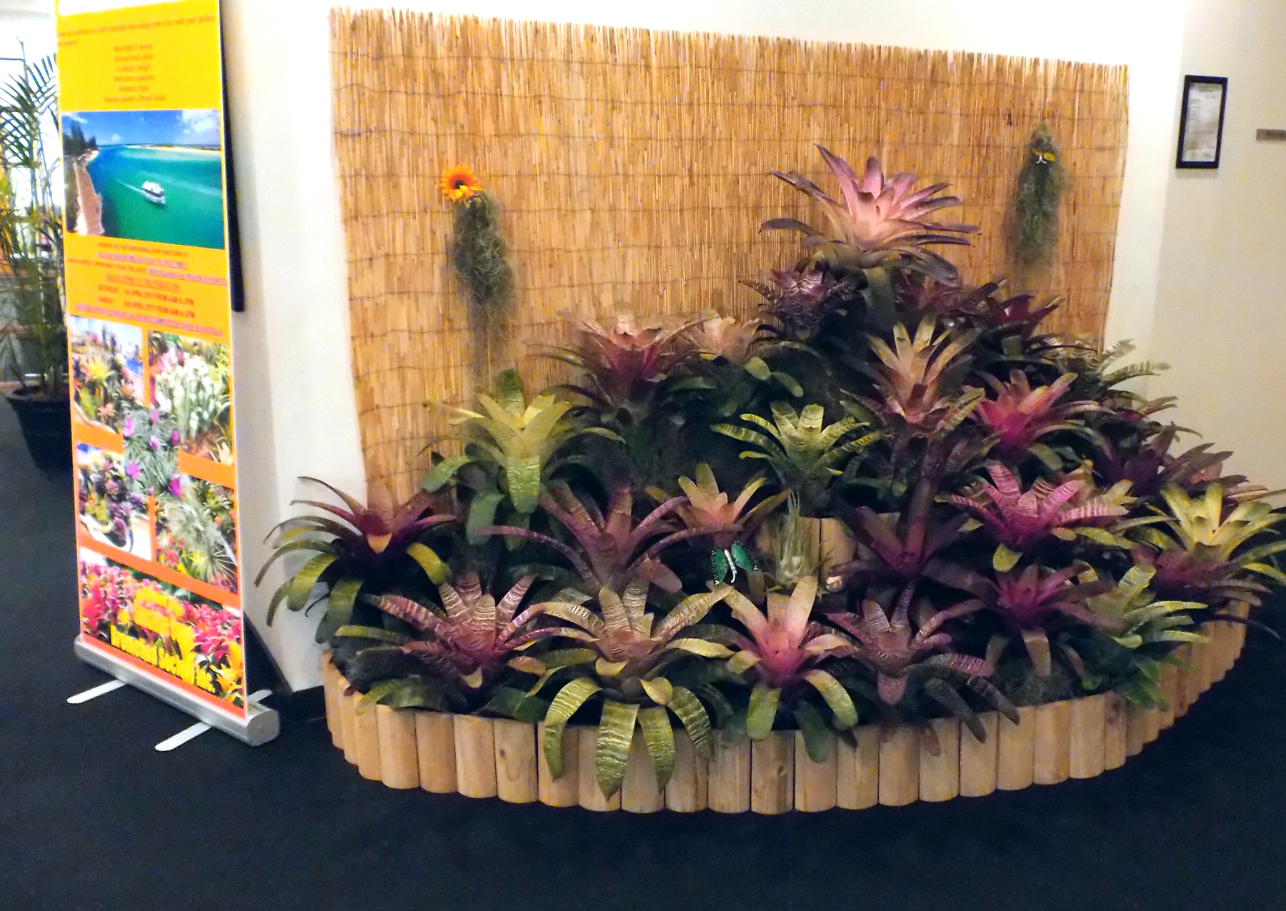 Sunny Broms Conference Display Vrieseas