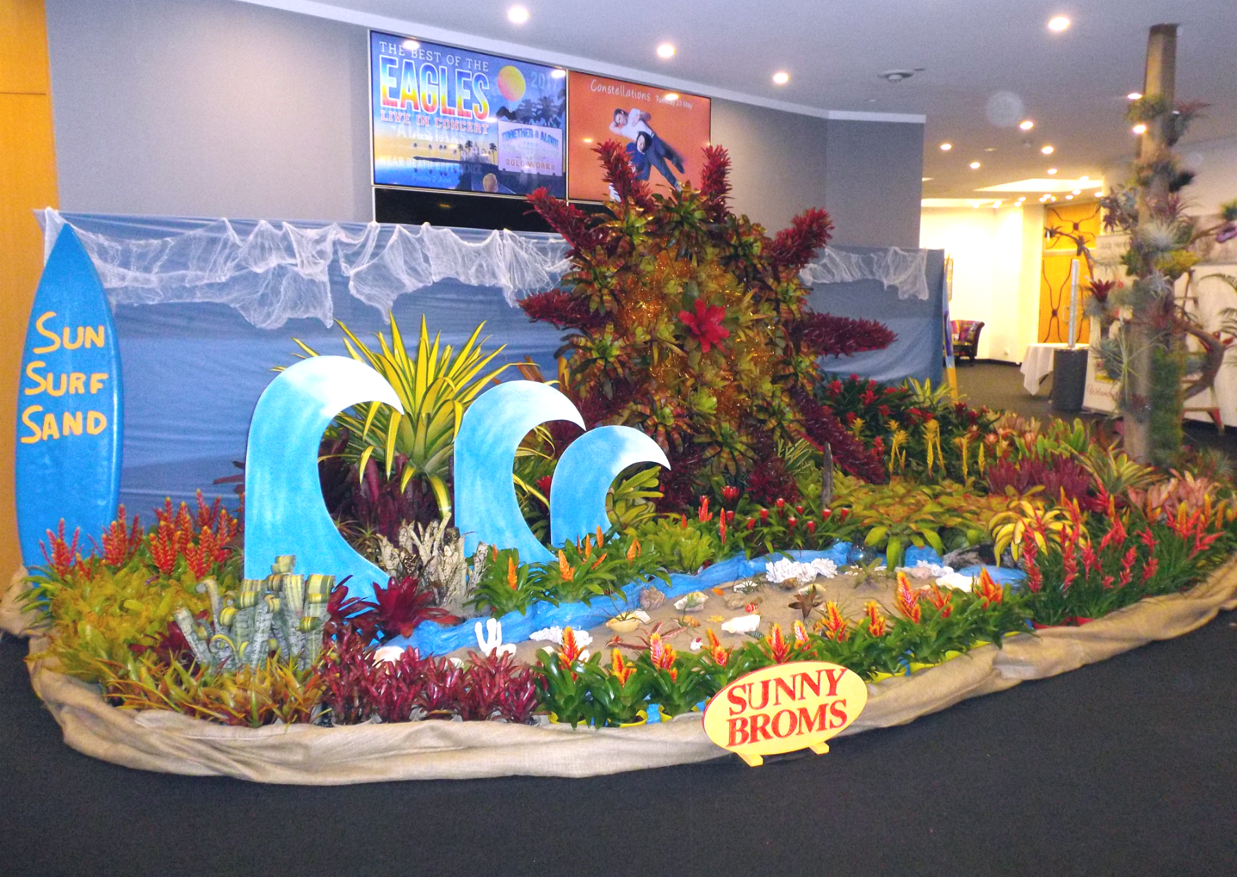 Sunny Broms Surf Display