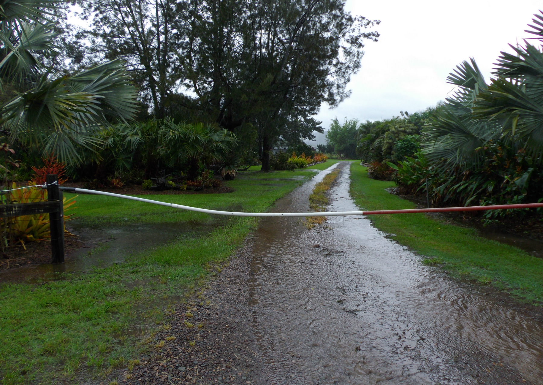 Wildfire Garden Muddy Driveways