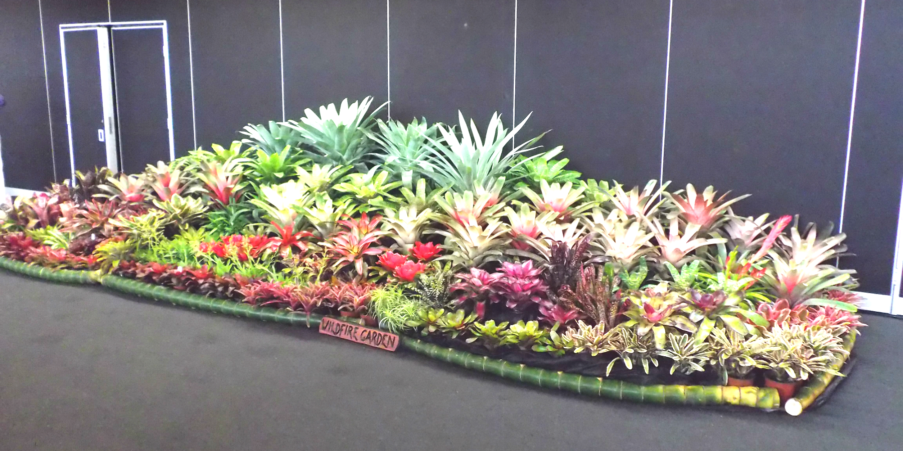 Wildfire Garden Sunny Broms Conference Display