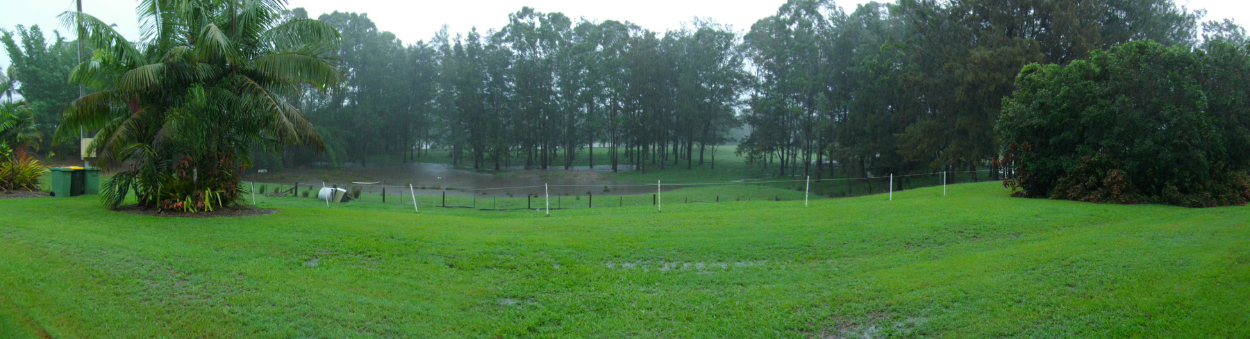 Wildfire Garden Yandina