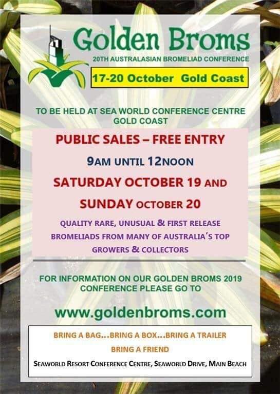 74428680_10162226358720167_8950632572652617728_n