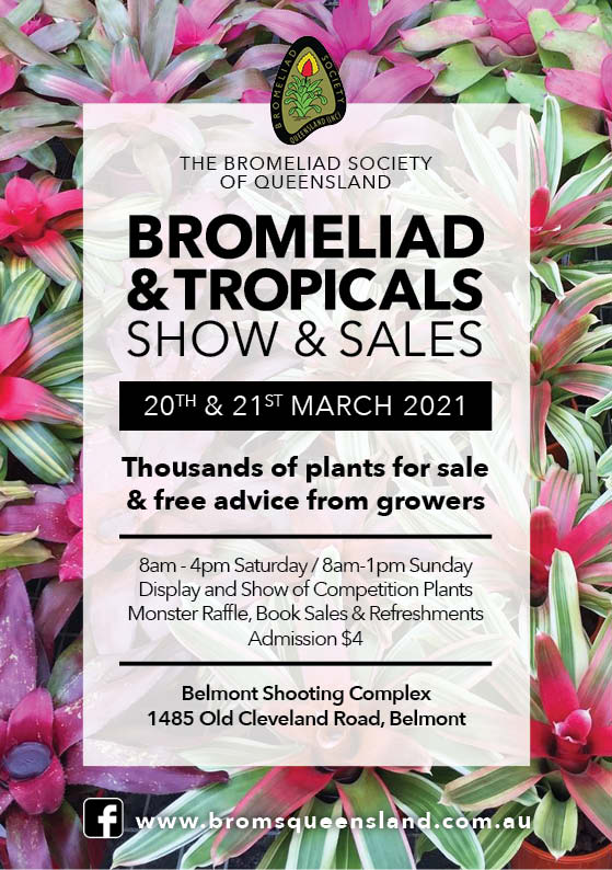 Autumn-Show-2021-Flyer