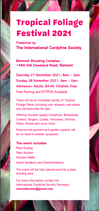 Screen Shot 2021-10-25 at 8.32.15 pm